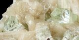 Bargain Zoned Apophyllite Crystals on Stilbite - India #44386-3